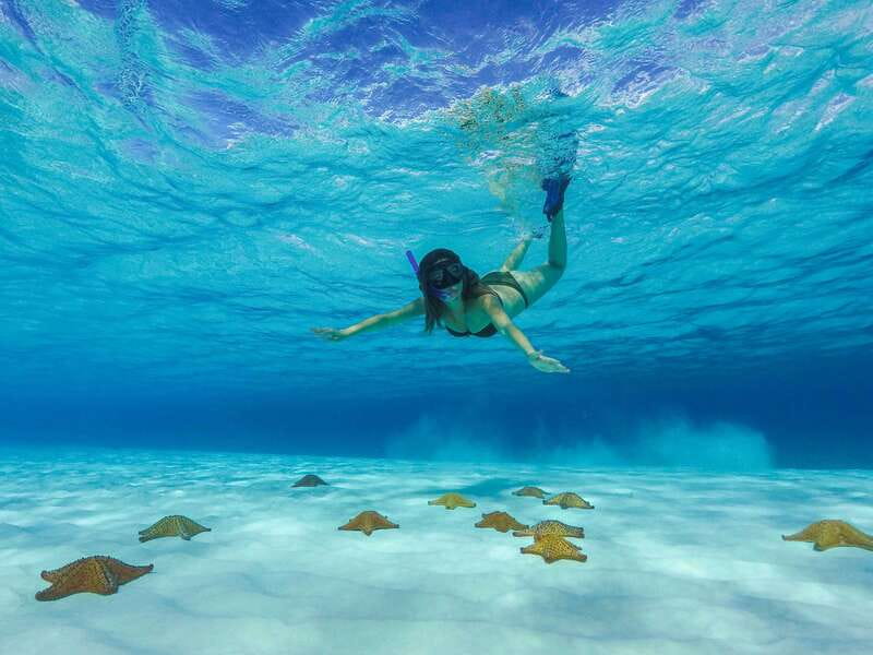Cozumel: Catamaran, El Cielo Bay & Palancar Reef with Lunch - Who This Tour Is Best For (and Who Should Skip It)