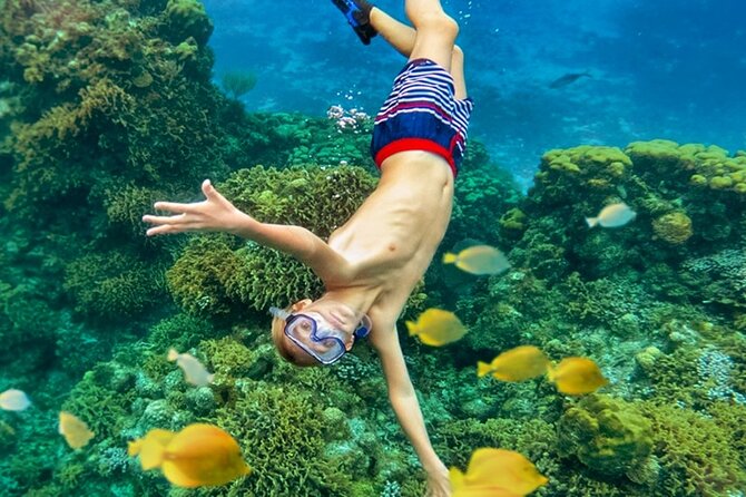 Cozumel Catamaran Experience with Snorkeling & Beach Club - Stop 1: Palancar Reef Snorkeling With Park Access Included