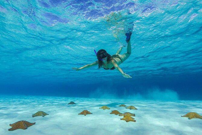 Cozumel Catamaran Snorkel Tour: El Cielo & Palancar with lunch - Key highlights to know before you go