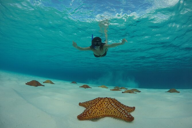 Cozumel Catamaran Snorkel Tour: El Cielo & Palancar with lunch - Playa Mia Beach Club and the regional buffet lunch payoff