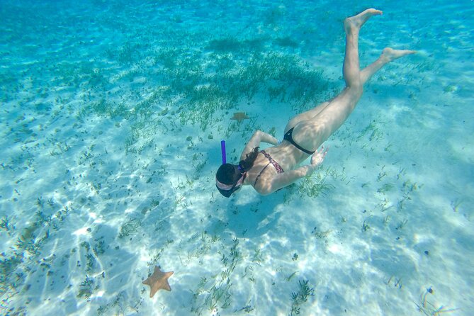 Cozumel Catamaran Snorkeling Tour & lunch - Price and value: what $90 really buys you, plus the marine park fee