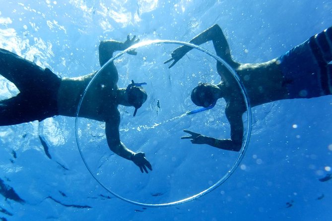 Cozumel Catamaran Snorkeling Tour & lunch - Drift snorkeling over Palancar Reef with PADI certified guidance