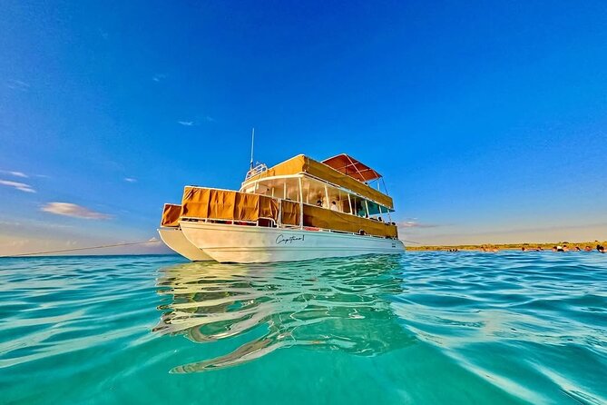 Cozumel Catamaran Tour: Snorkel at Top Reefs & Open Bar - Stop 1: The First Cruise Hour Out of Cozumel