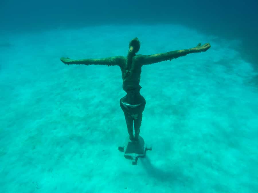 Cozumel: Chankanaab Park Admission+ Sea Lion show + Snorkel - Key takeaways before you go