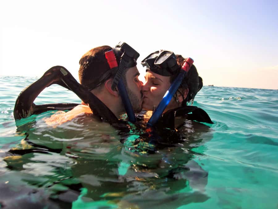 Cozumel: Chankanaab Park Admission+ Sea Lion show + Snorkel - Who This Cozumel Package Fits Best