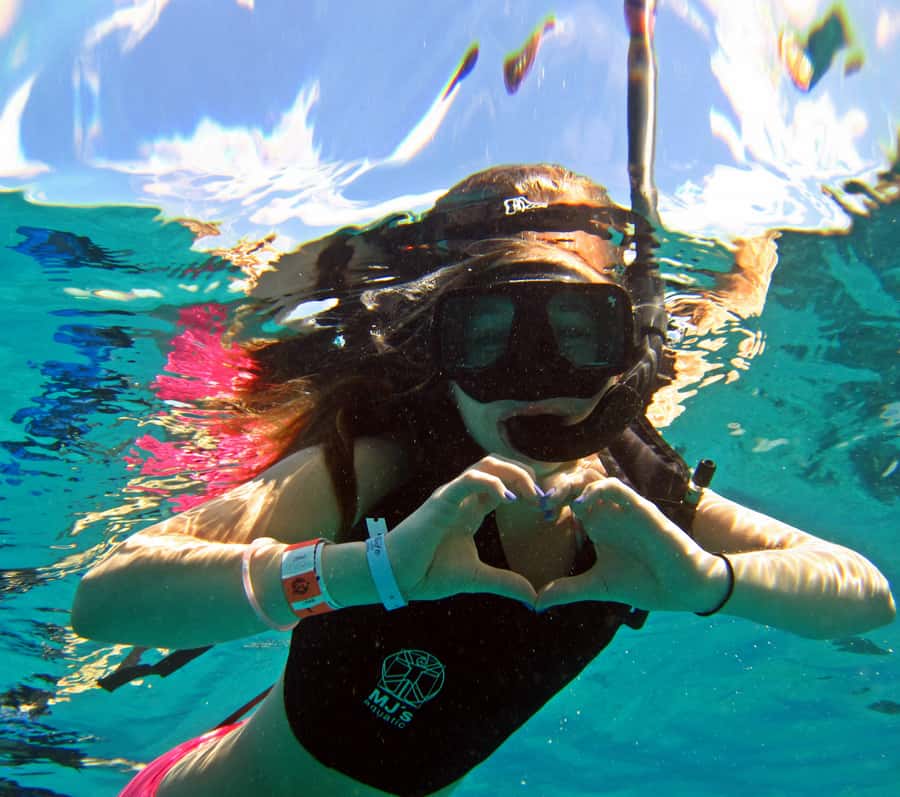 Cozumel: Chankanaab Park Admission+ Sea Lion show + Snorkel - Getting There and Check-In Without Losing Time