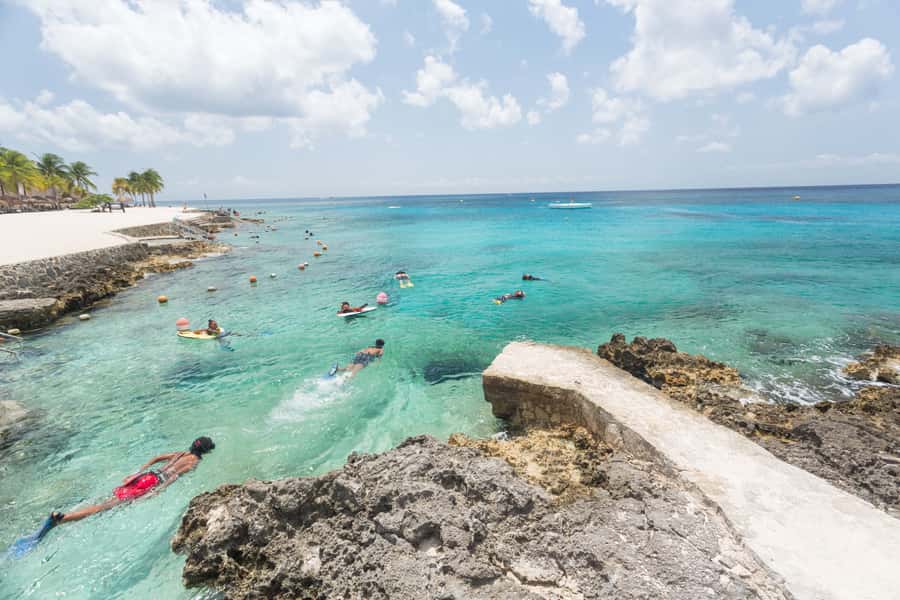 Cozumel: Chankanaab Park Admission+ Sea Lion show + Snorkel - Snorkeling at Chankanaab: Gear, Guidance, and Realistic Expectations