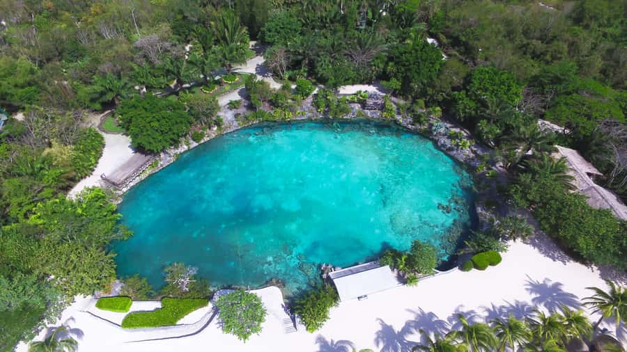Cozumel: Chankanaab Park Admission+ Sea Lion show + Snorkel - Exploring the Park After Snorkeling: Gardens, Mayan Replicas, and Beach Ease