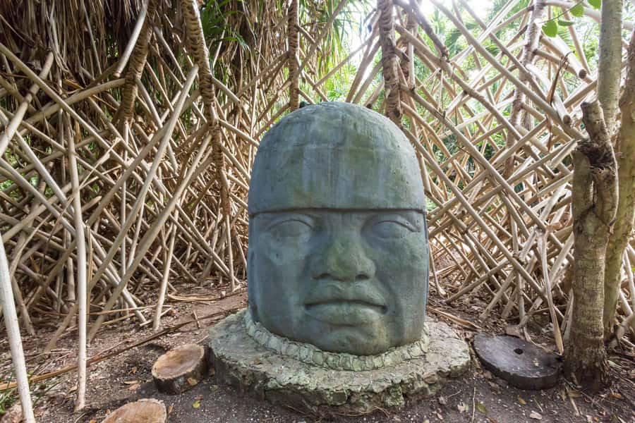 Cozumel: Chankanaab Park Admission+ Sea Lion show + Snorkel - Marine Fee, Possible Extra Charges, and How to Avoid Surprises