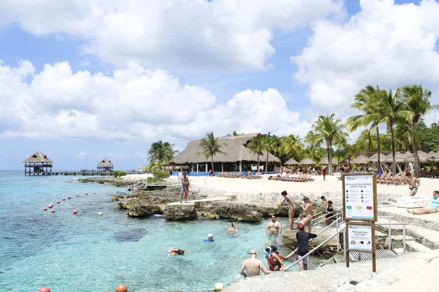 Cozumel: Chankanaab Park Admission+ Sea Lion show + Snorkel - Price and What You Really Pay in Your Total Budget