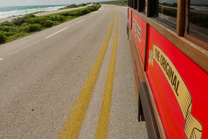 Cozumel City Tour By Trolley - Timing on a Cruise Day: 3 Hours Sounds Easy, Until It Is Not
