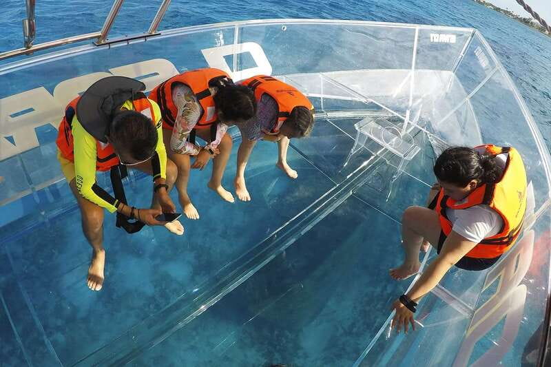 Cozumel: Clear Boat and Electric Scooter Ride - Tour Logistics That Matter: Small Group, Live Guide, and Timing