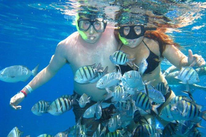 Cozumel Coral Reef Snorkeling by Glass Bottom Boat with Guide - What’s Included (and Why That Beer Matters More Than You Think)