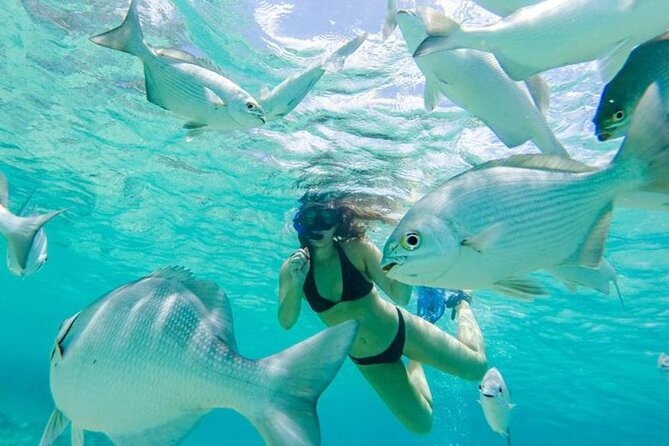 Cozumel: Day in Punta Sur Eco Park and Del Cielo Beach with Snorkeling - Getting Into Punta Sur: Show Your Digital Ticket at the Gate