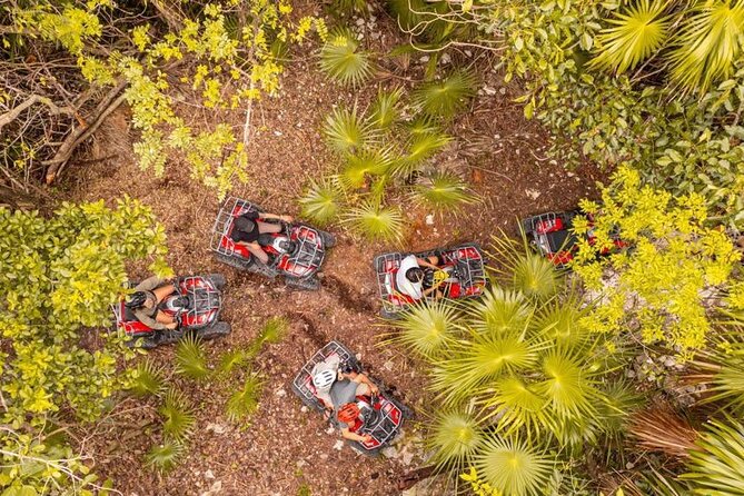 Cozumel: Discover Hidden Gems w/ Private guide - Price and value: $199 per group for a 5-hour private Jeep