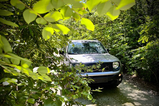 Cozumel: Discover Hidden Gems w/ Private guide - Tierra Maya admission: what you get and why it matters