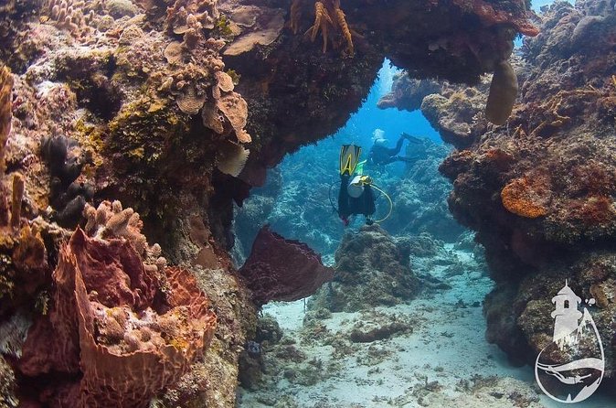 Cozumel: Discover Scuba Diving - How the 5 hours usually unfolds
