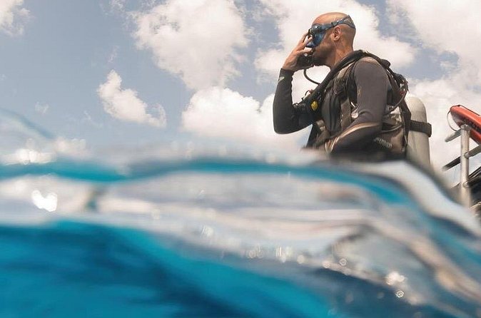 Cozumel: Discover Scuba Diving - What reefs you might see in Cozumel