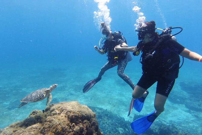 Cozumel: Discover Scuba Diving - Where you start: Marina FONATUR and the My Way Boat