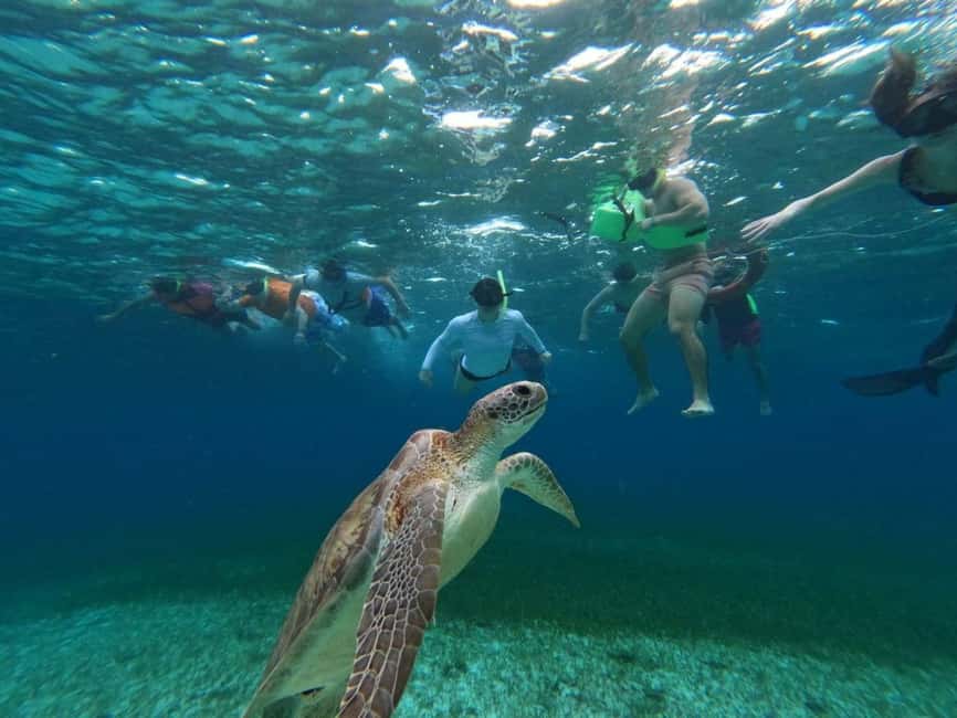 Cozumel, El Cielo: 4-Hour Shared Snorkeling Tour - Key highlights worth knowing