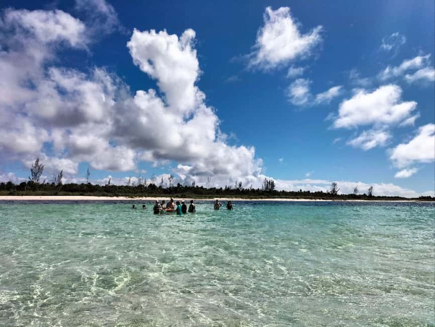 Cozumel, El Cielo: 4-Hour Shared Snorkeling Tour - Pace, language, and the group tour reality