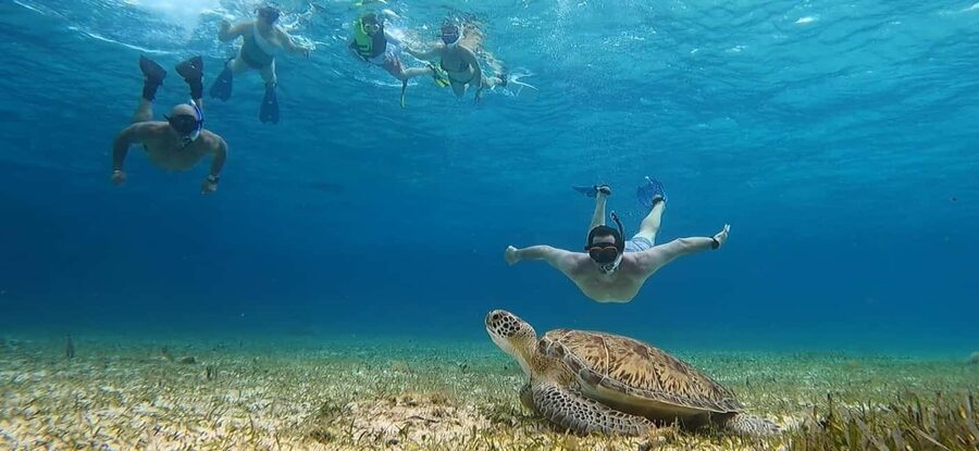 Cozumel, El Cielo: 4-Hour Shared Snorkeling Tour - Stop 1: Arrecife Palancar, coral formations and fish on a famous reef