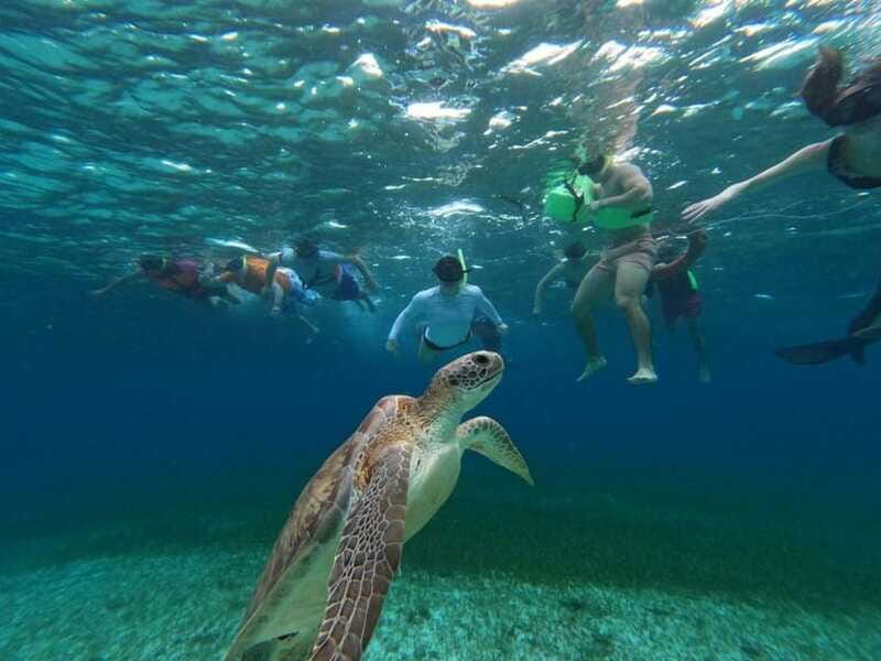 Cozumel, El Cielo: 4-Hour Shared Snorkeling Tour - El Cielito: calm waters, white sand, ceviche, and the beer moment