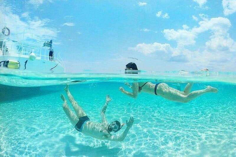 Cozumel El Cielo Sandbar and Reef Snorkeling Tour - Key Highlights You’ll Care About