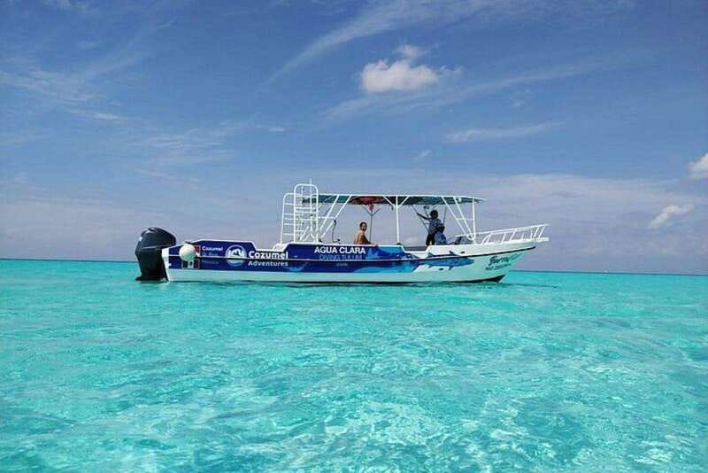 Cozumel El Cielo Sandbar and Reef Snorkeling Tour - Your Day at a Glance in Cozumel