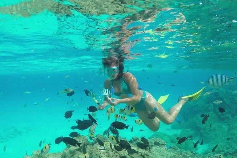 Cozumel El Cielo Sandbar and Reef Snorkeling Tour - The Main Event: El Cielo Sandbar and Starfish on the Sand