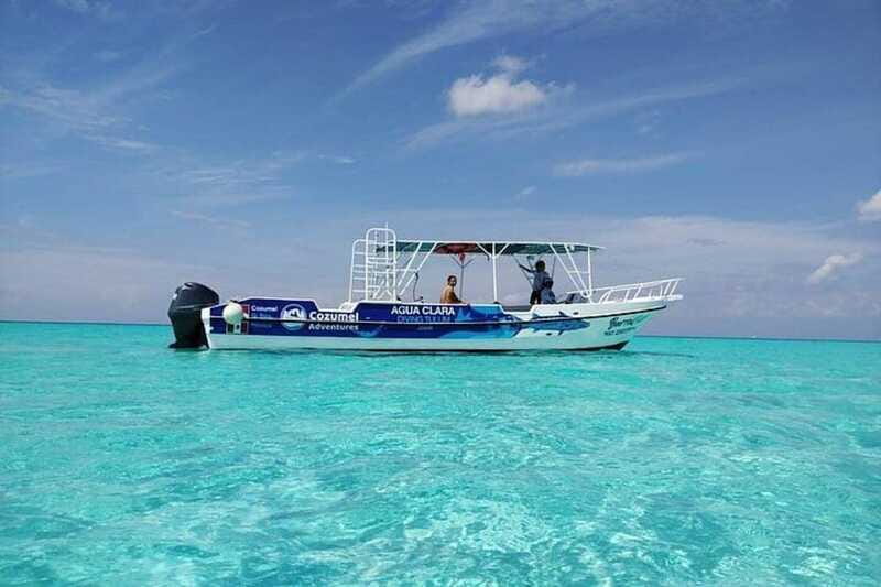 Cozumel El Cielo Sandbar and Reef Snorkeling Tour - Private Group Time: The Comfort Factor You’ll Notice