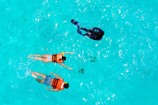 Cozumel: El Cielo Snorkel, KUZÁ Beach Day Pass, Buffet & Open Bar - El Cielo snorkeling route: reefs, sandbar, and starfish sanctuary