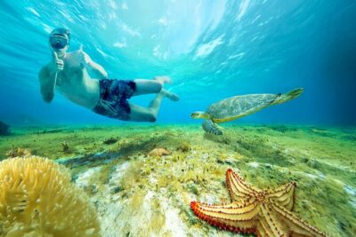 El Cielo Snorkel, KUZÁ Beach Day Pass, Buffet & Open Bar