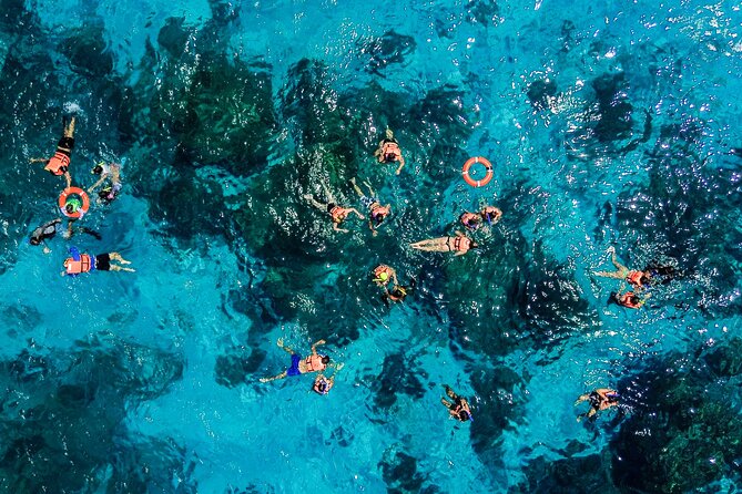 Cozumel: El Cielo Snorkel, KUZÁ Beach Day Pass, Buffet & Open Bar - The beach itself: calm-water vibes and the small marine extras