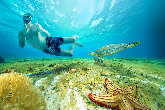 Cozumel: El Cielo Snorkel, KUZÁ Beach Day Pass, Buffet & Open Bar - Getting to the meeting point without losing your mind