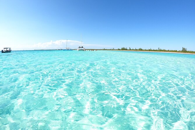 Cozumel El Cielo Snorkeling Tour - Key Highlights Before You Go