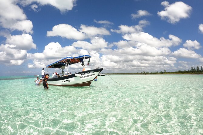 Cozumel El Cielo Snorkeling Tour - Lunch by the Staff: Fruits, Fish Ceviche, and Guacamole