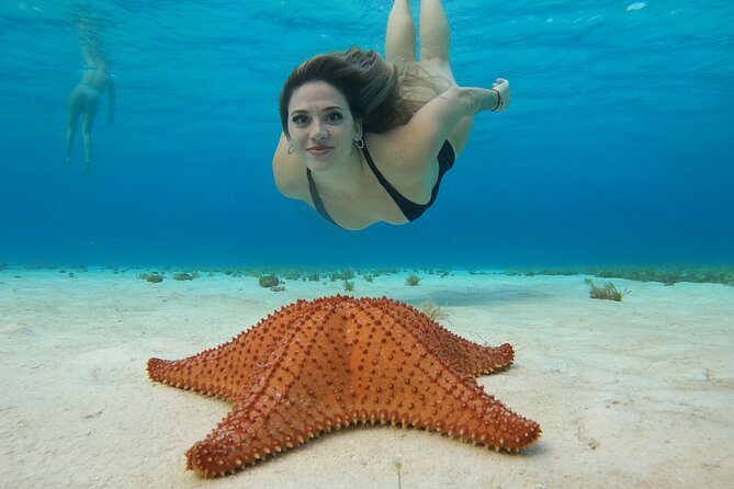 Cozumel El Cielo Snorkeling Tour - The Day’s Flow: A Simple Timeline You Can Rely On