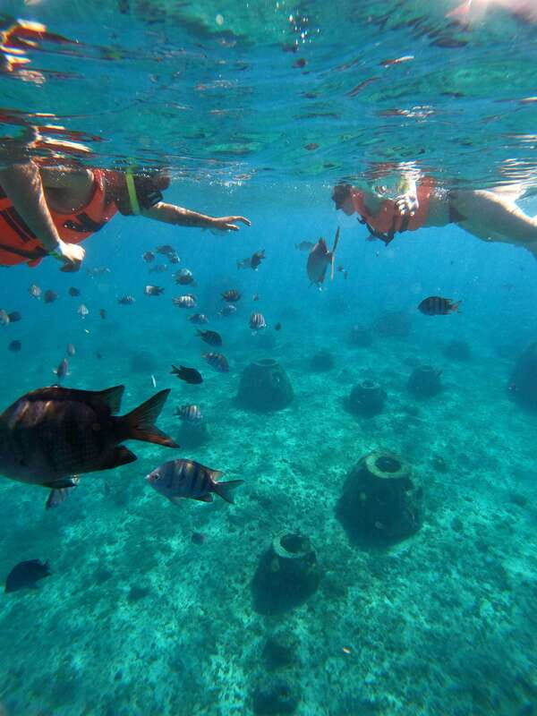 Cozumel: Excursion Crystal Boat Tour with Snorkel & Drinks - Key highlights you will actually care about