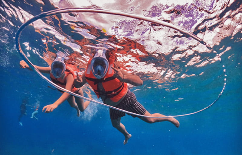 Cozumel: Excursion Crystal Boat Tour with Snorkel & Drinks - 40 minutes of marine-life viewing from the clear boat