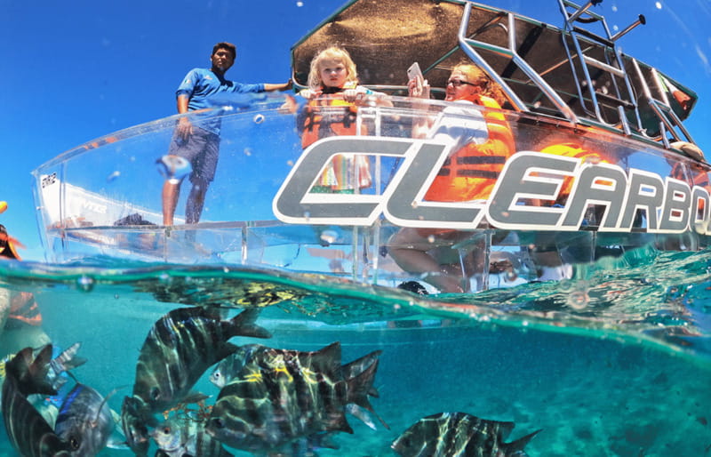 Cozumel: Excursion Crystal Boat Tour with Snorkel & Drinks - Finding the meeting point at Av. Rafael E. Melgar 221