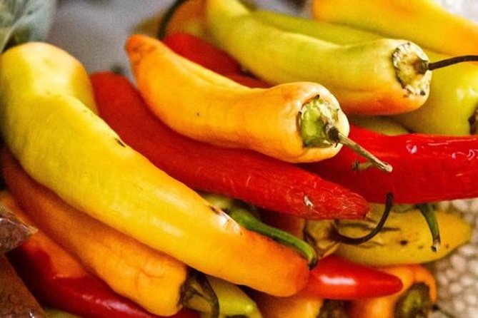 Cozumel Food Tour - MEGA meeting point at 11:15 am, and what that means for your morning