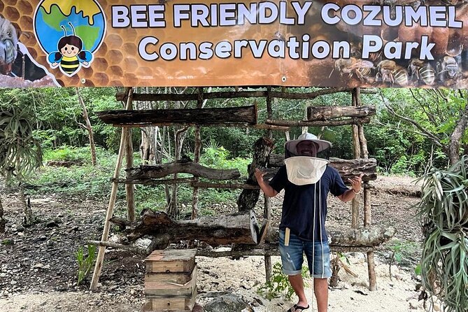 Cozumel: Hands-On Chocolate, Tortilla, Salsa & Honey Experience - Key highlights to plan around