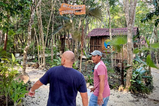 Cozumel: Hands-On Chocolate, Tortilla, Salsa & Honey Experience - Tierra Maya jungle venue: what you’re actually booking