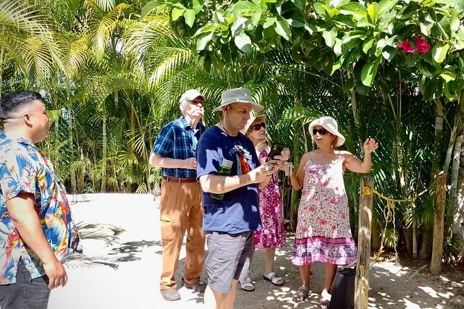 Cozumel: Hands-On Chocolate, Tortilla, Salsa & Honey Experience - The pacing, guide quality, and what private flexibility can mean