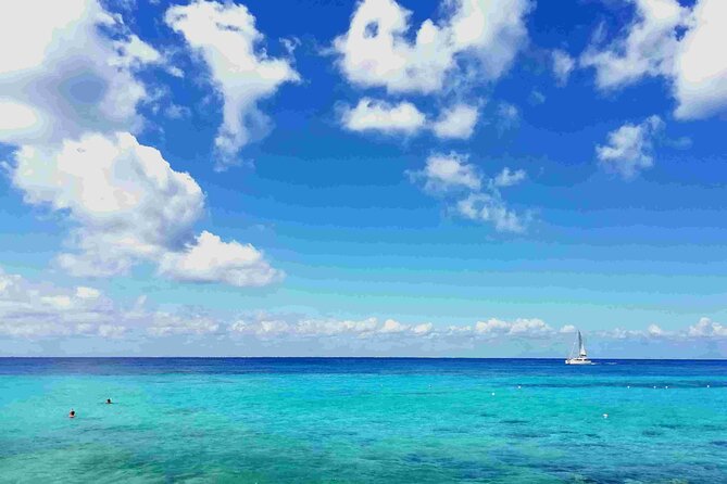 Cozumel Island Tour: Mayan Ruins, Reefs, and Beach Escape - Quick hits before you go