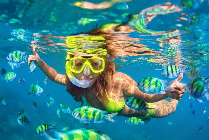 Cozumel Island Tour: Mayan Ruins, Reefs, and Beach Escape - San Gervasio Mayan Ruins and the Ixchel pilgrimage story