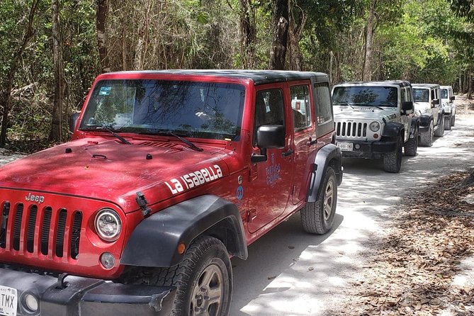 Cozumel Jeep Adventure to Jade Caverns with Lunch and Snorkel - Tortugas Snorkel Center and Beach Bar: Lunch, Gear, and Caribbean Visibility