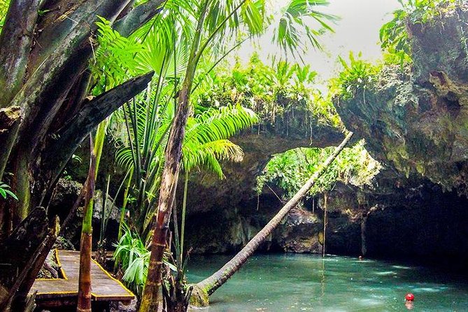 Cozumel Jeep Adventure to Jade Caverns with Lunch and Snorkel - Guide Energy: Why Names Like Ricardo, Fernando, Sergio, and Caterina Matter