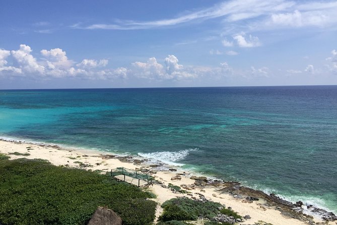 Cozumel Jeep and Snorkel Adventure with Lunch at Punta Sur Park - Columbia Lagoon Crocodiles: Sunbathing Wildlife Viewing